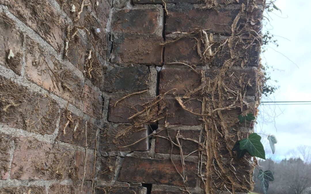 Common Masonry Problems and How to Prevent or Fix Them